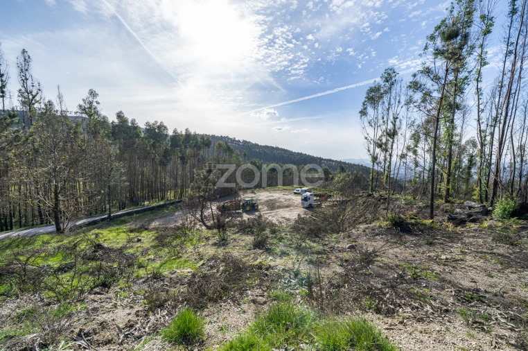 Terreno para Venda em São João de Rei Foto 12