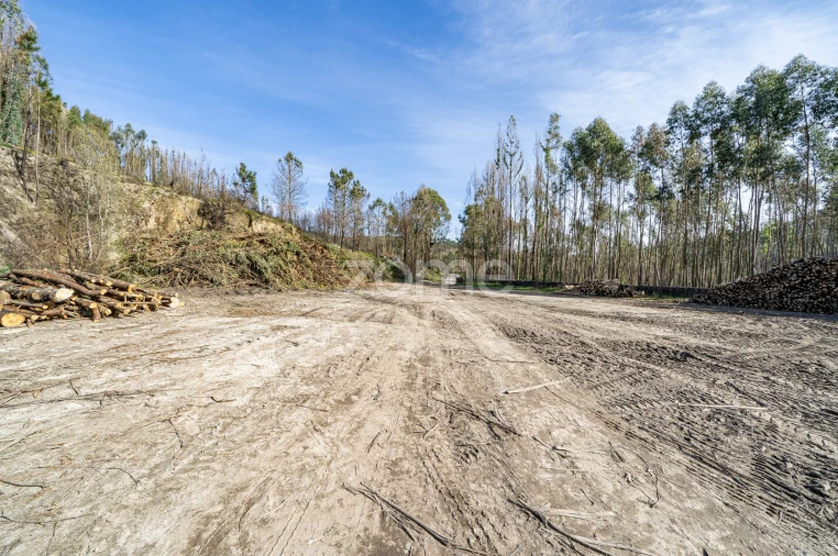 Terreno para Venda em São João de Rei Foto 13