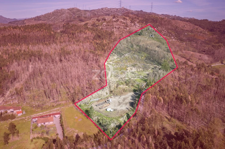 Terreno para Venda em São João de Rei Foto 19