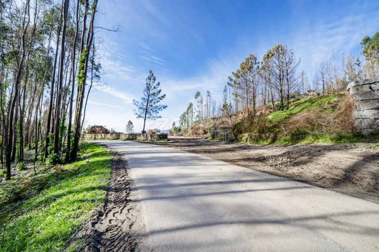 Terreno para Venda em São João de Rei Foto 6