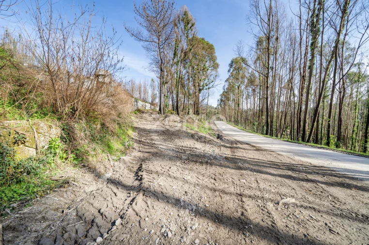 Terreno para Venda em São João de Rei Foto 7