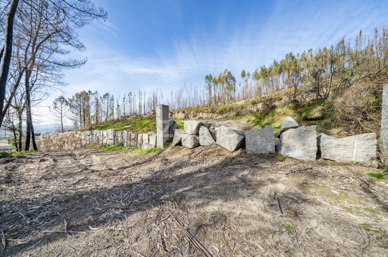 Terreno para Venda em São João de Rei Foto 8