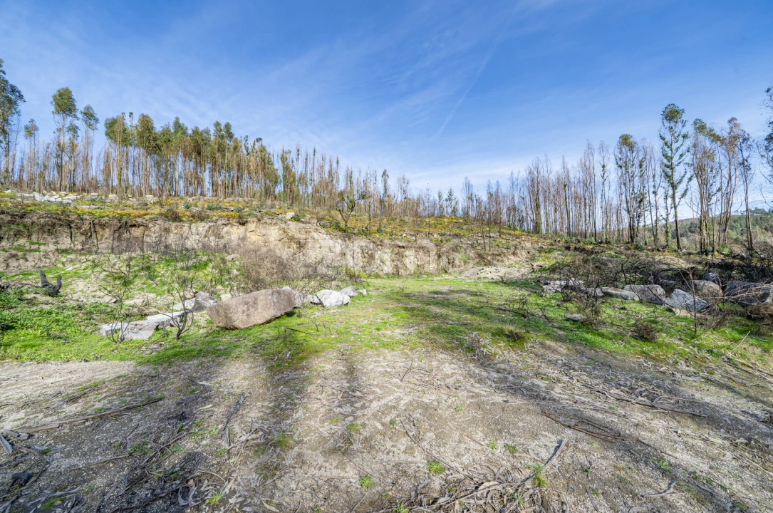 Terreno para Venda em São João de Rei Foto 9