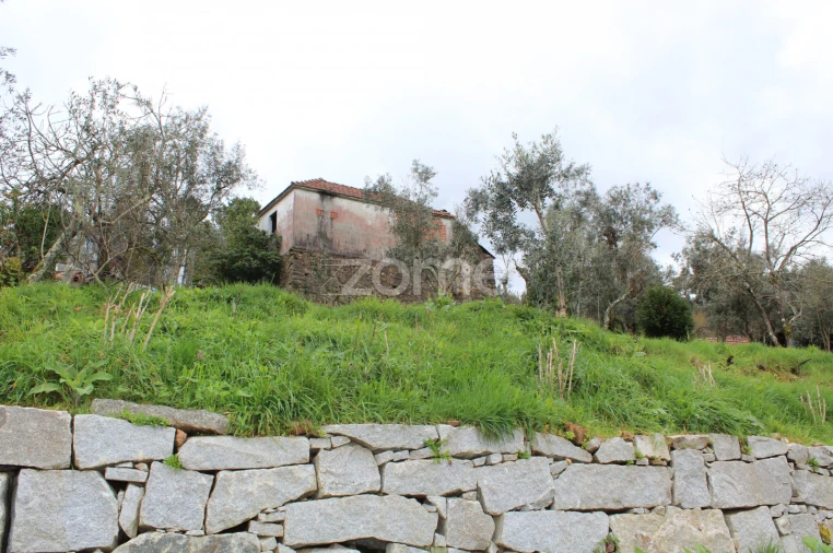 Moradia T3 para Venda em Raiva, Pedorido e Paraíso Foto 9