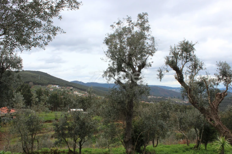 Moradia T3 para Venda em Raiva, Pedorido e Paraíso Foto 17