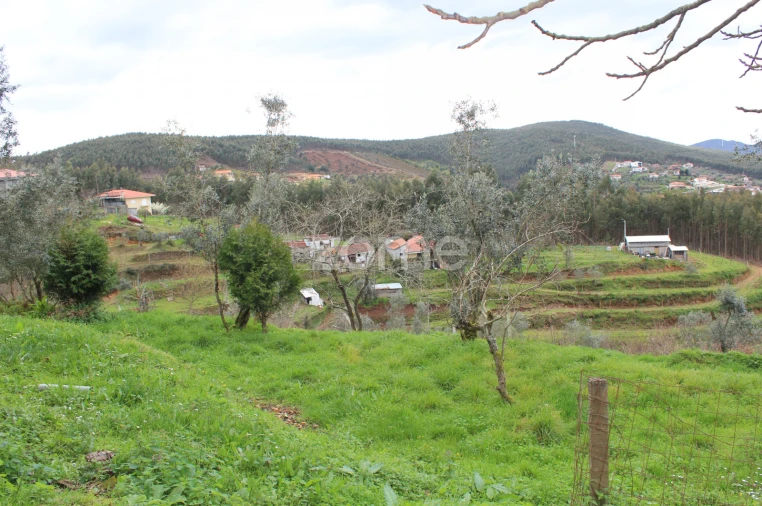 Moradia T3 para Venda em Raiva, Pedorido e Paraíso Foto 19