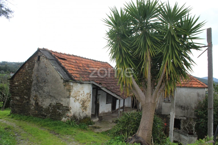 Moradia T3 para Venda em Raiva, Pedorido e Paraíso Foto 28