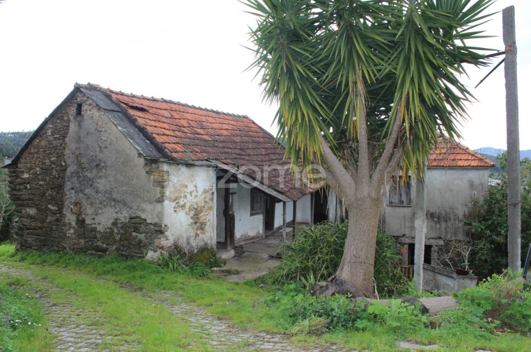 Moradia T3 para Venda em Raiva, Pedorido e Paraíso Foto 24