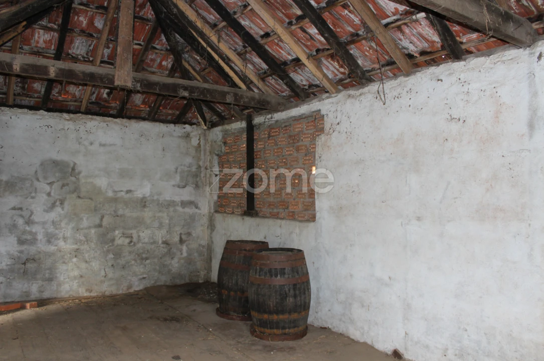 Moradia T3 para Venda em Raiva, Pedorido e Paraíso Foto 5