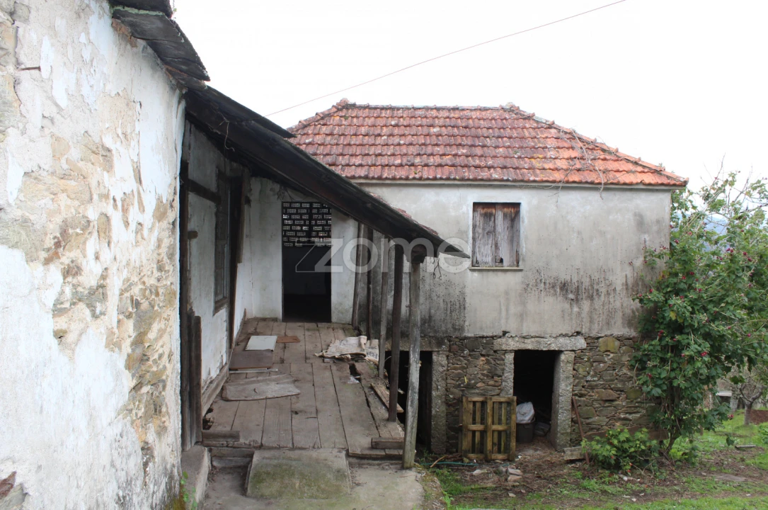 Moradia T3 para Venda em Raiva, Pedorido e Paraíso Foto 7