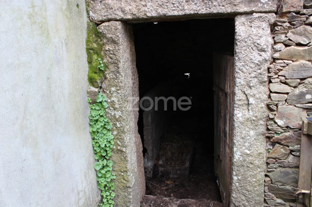 Moradia T3 para Venda em Raiva, Pedorido e Paraíso Foto 8