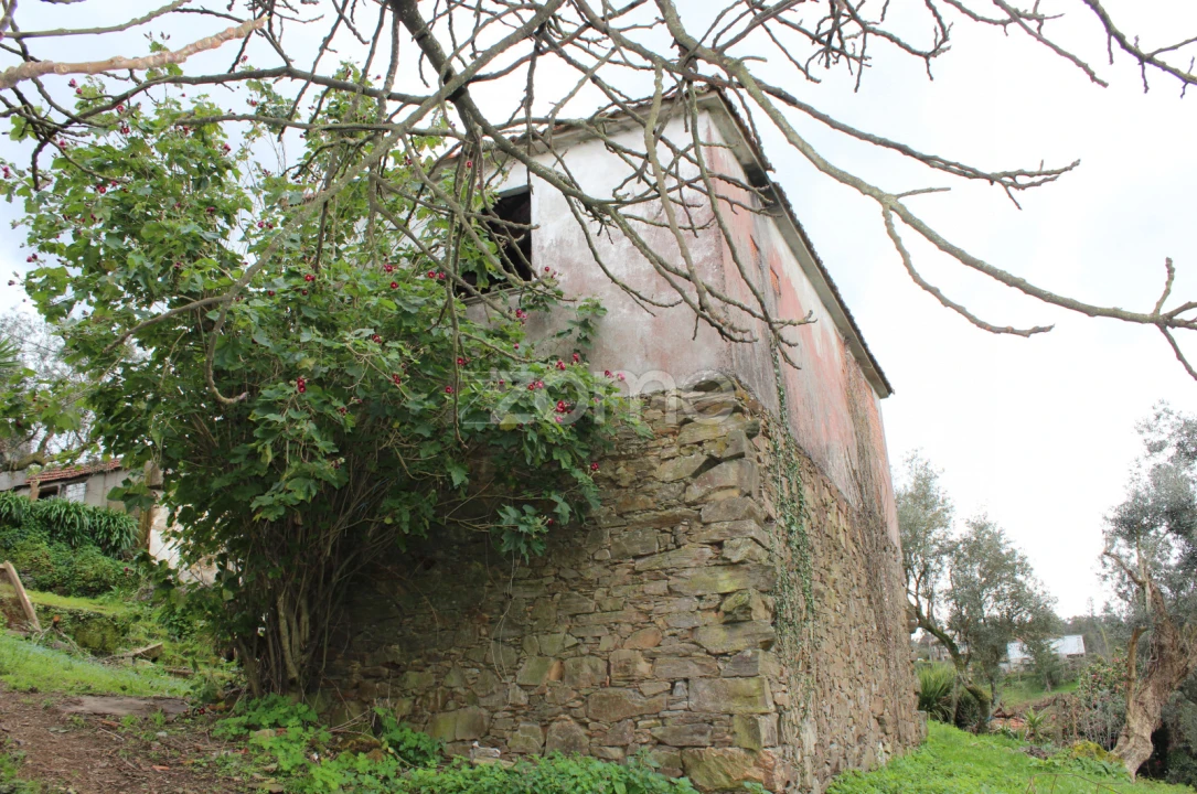 Moradia T3 para Venda em Raiva, Pedorido e Paraíso Foto 26