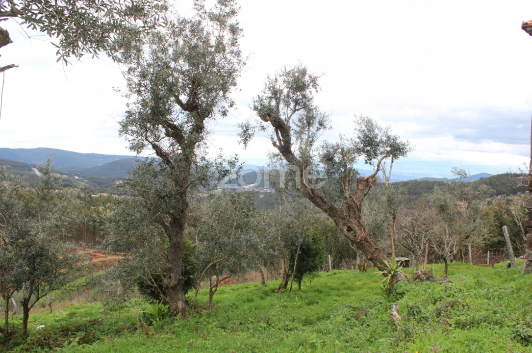 Moradia T3 para Venda em Raiva, Pedorido e Paraíso Foto 16