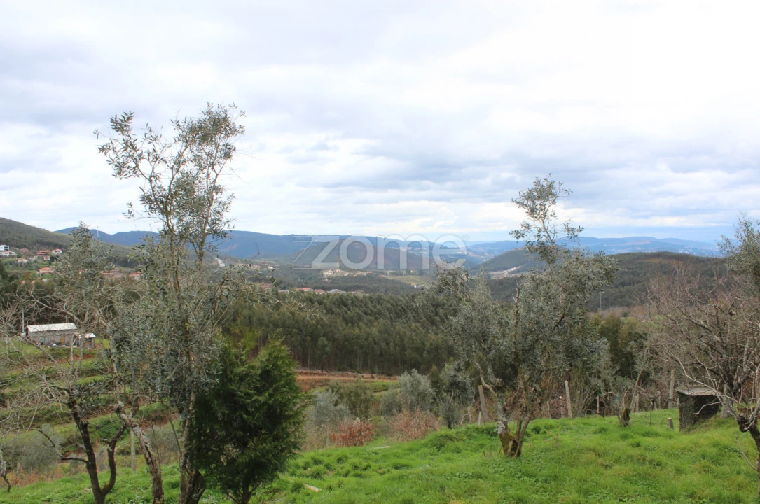 Moradia T3 para Venda em Raiva, Pedorido e Paraíso Foto 18