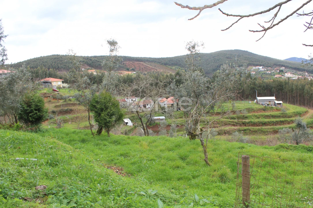 Moradia T3 para Venda em Raiva, Pedorido e Paraíso Foto 19