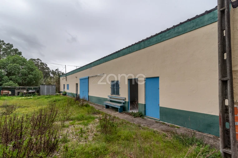 Terreno Comércio / Armazém para Venda em Tavarede Foto 11