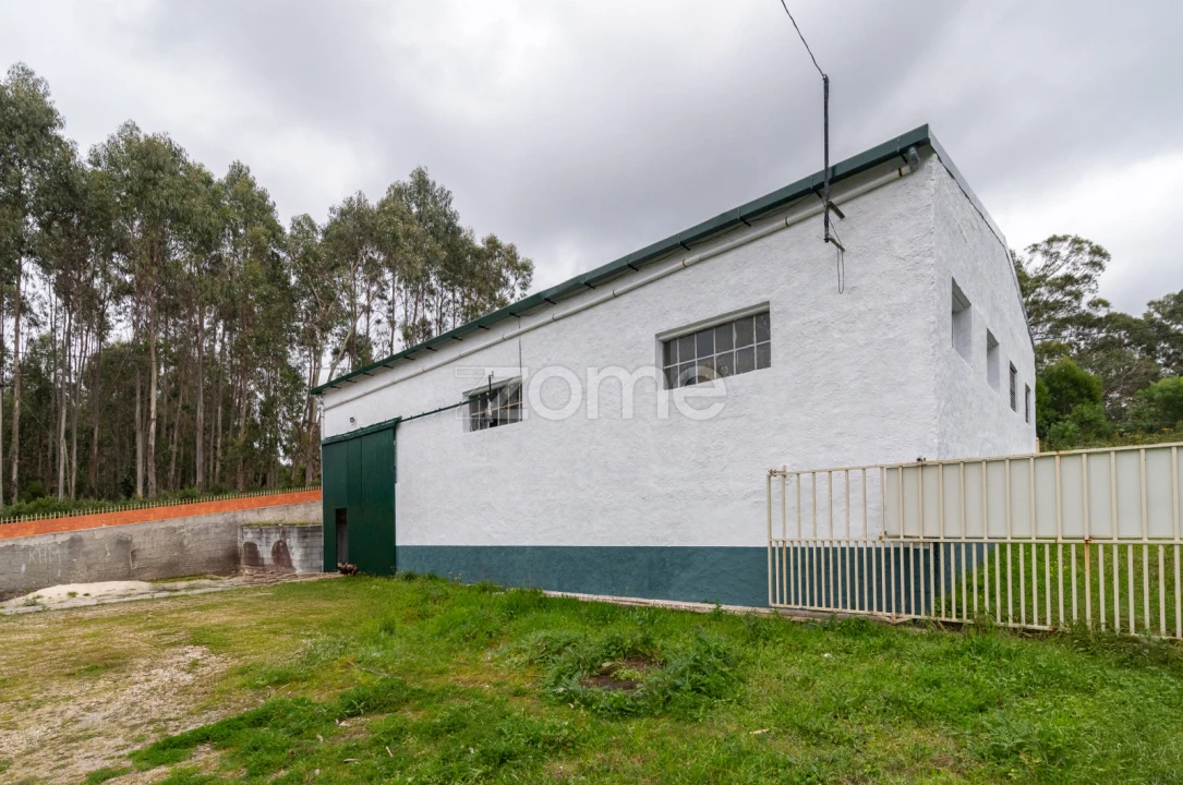 Terreno Comércio / Armazém para Venda em Tavarede Foto 7