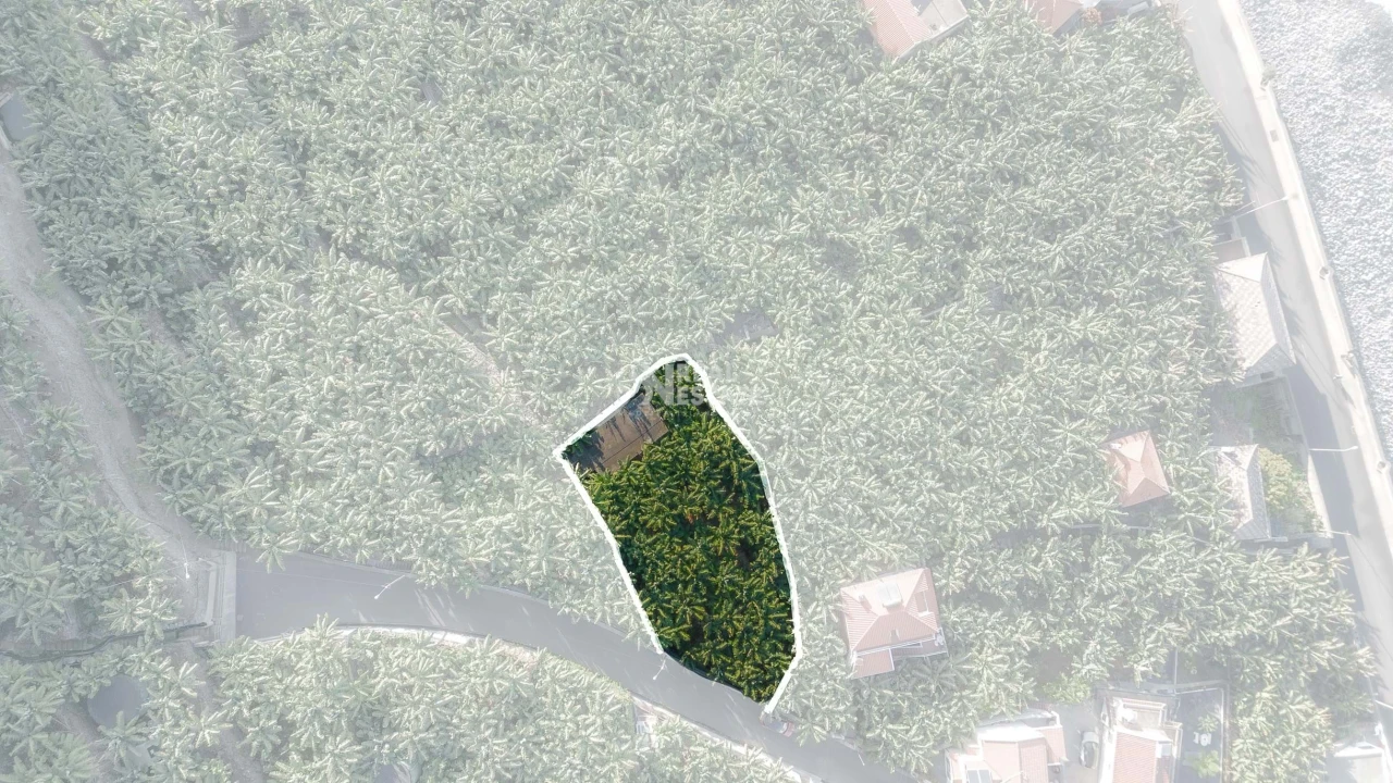 Terreno para Venda em Madalena do Mar Foto 3