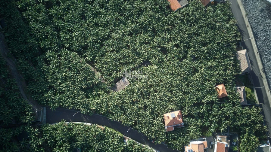 Terreno para Venda em Madalena do Mar