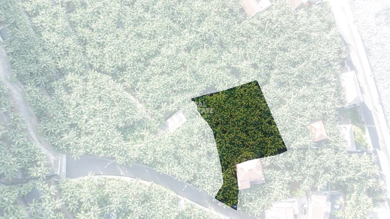 Terreno para Venda em Madalena do Mar Foto 3