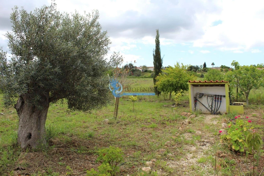 Terreno para Venda em São Bartolomeu de Messines Foto 24