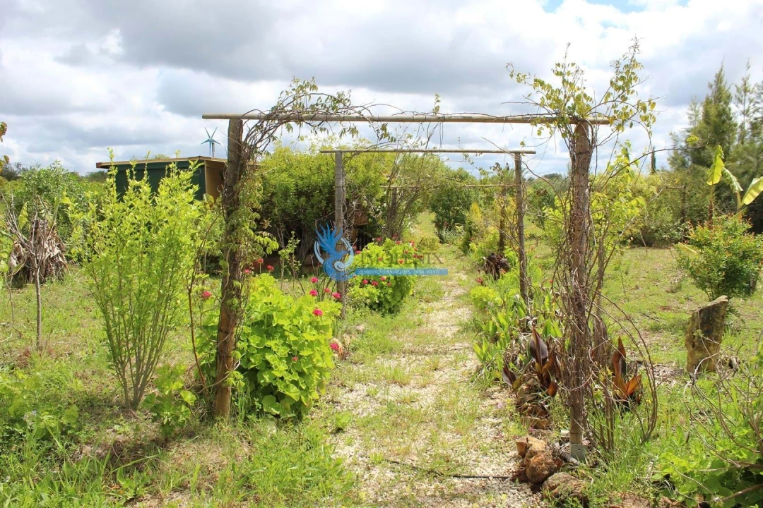 Terreno para Venda em São Bartolomeu de Messines Foto 19