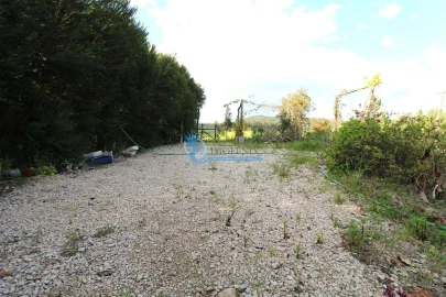Terreno para Venda em São Bartolomeu de Messines