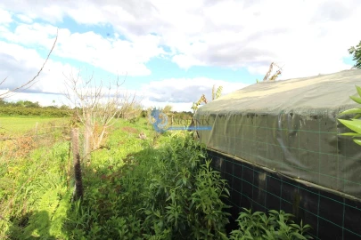 Terreno para Venda em São Bartolomeu de Messines