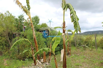 Terreno para Venda em São Bartolomeu de Messines
