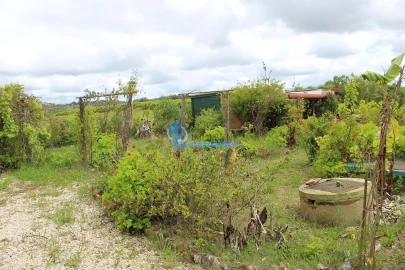 Terreno para Venda em São Bartolomeu de Messines