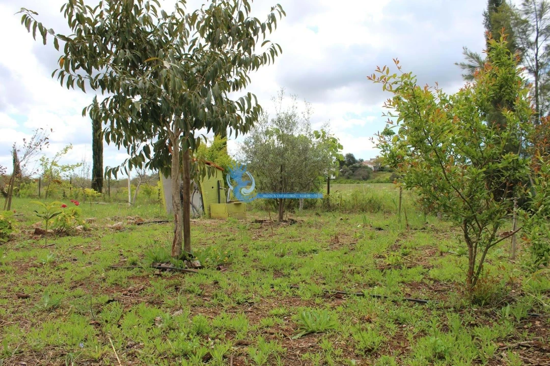 Terreno para Venda em São Bartolomeu de Messines Foto 27