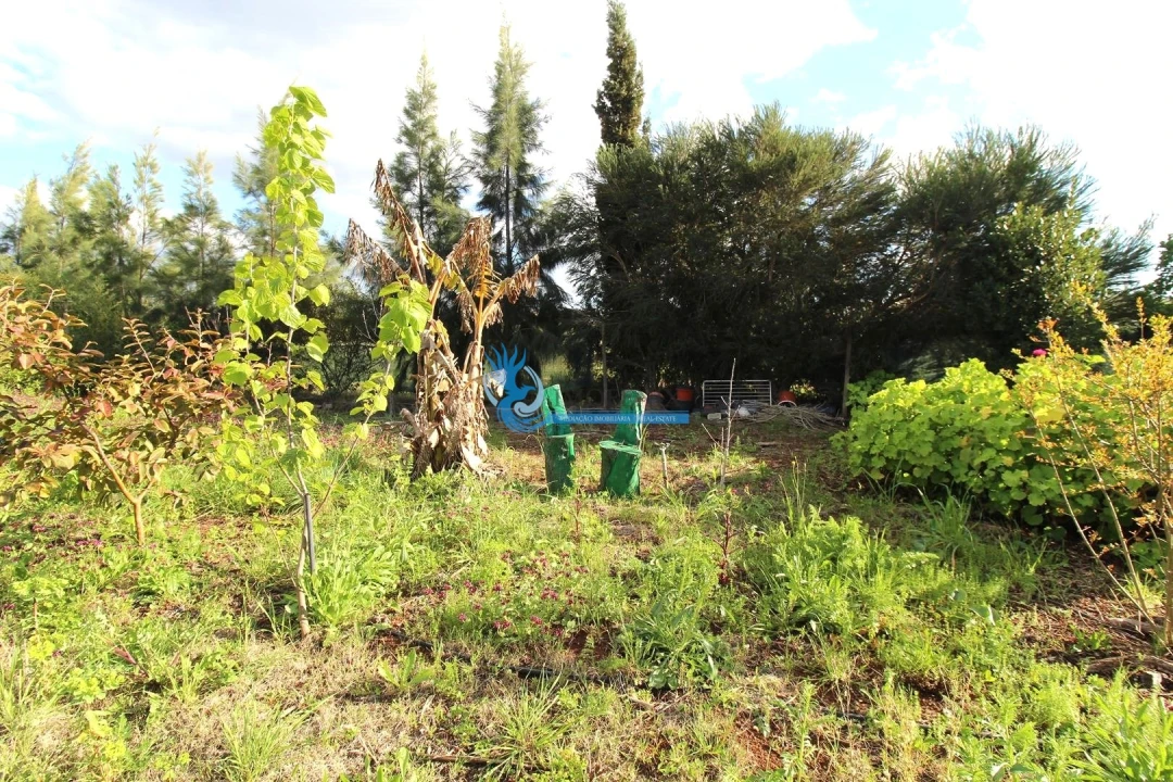 Terreno para Venda em São Bartolomeu de Messines Foto 22