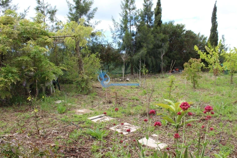 Terreno para Venda em São Bartolomeu de Messines Foto 28