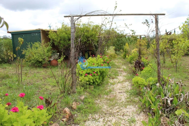 Terreno para Venda em São Bartolomeu de Messines Foto 20