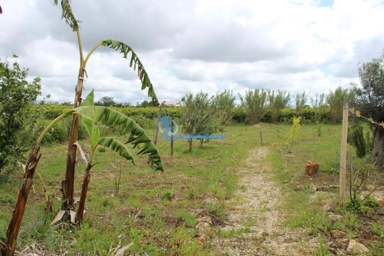 Terreno para Venda em São Bartolomeu de Messines Foto 23