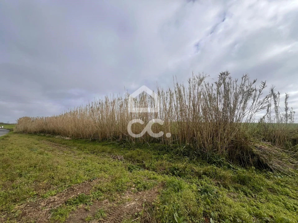 Terreno para Venda em Ponta Garça Foto 3