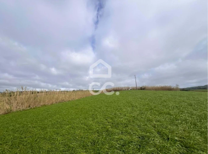 Terreno para Venda em Ponta Garça Foto 7