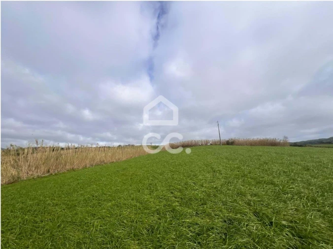 Terreno para Venda em Ponta Garça Foto 6