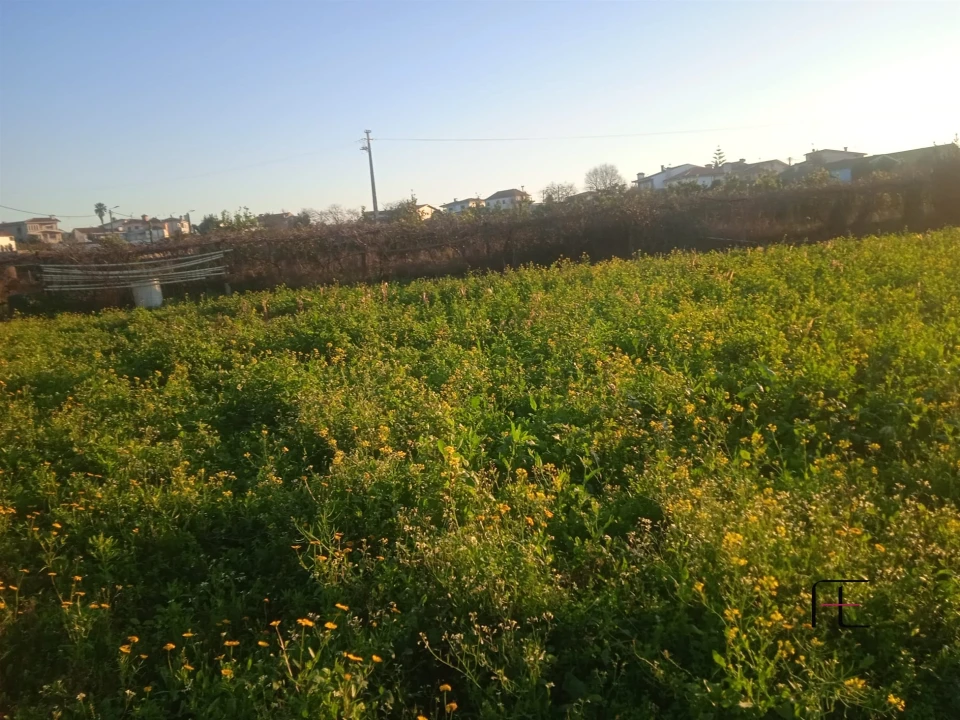 Terreno para Venda em Guilhabreu Foto 8