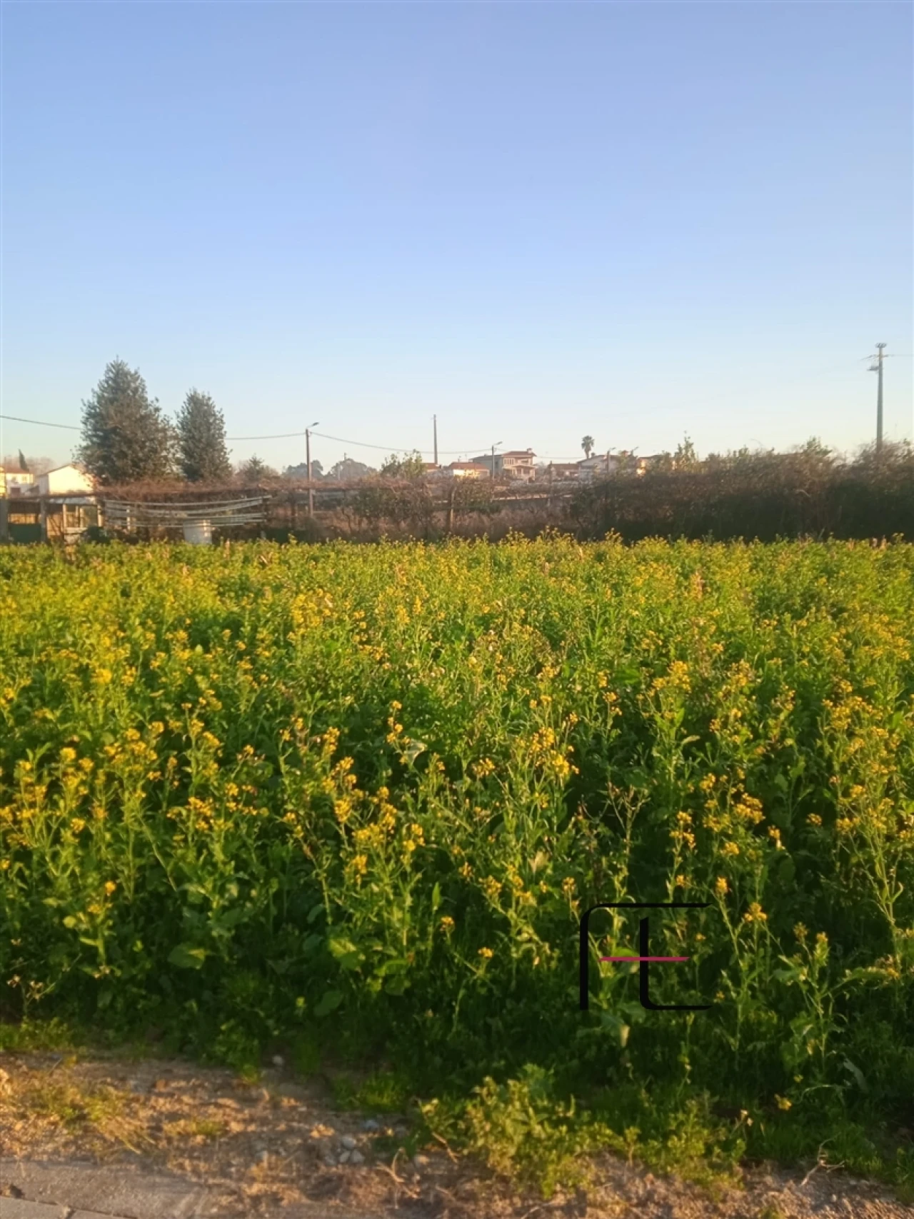 Terreno para Venda em Guilhabreu Foto 4