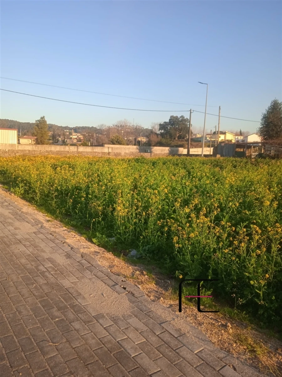 Terreno para Venda em Guilhabreu Foto 6