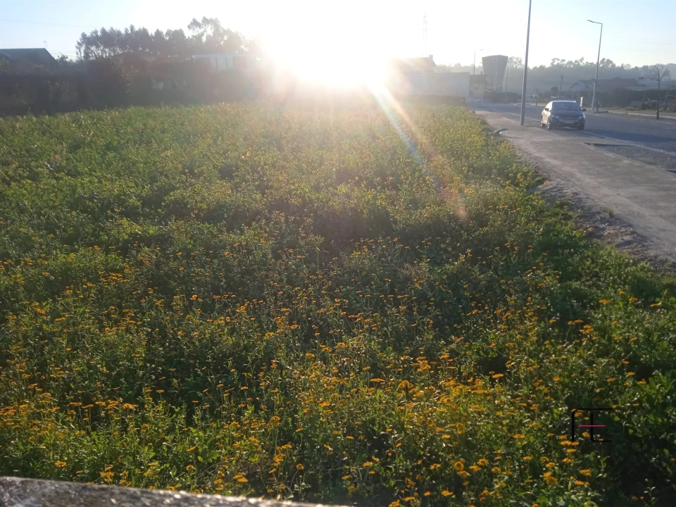 Terreno para Venda em Guilhabreu Foto 1