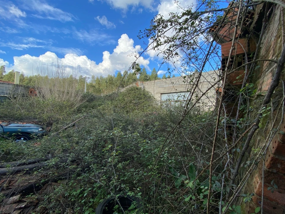 Terreno para Venda em Nossa Sra de Fatima Foto 8