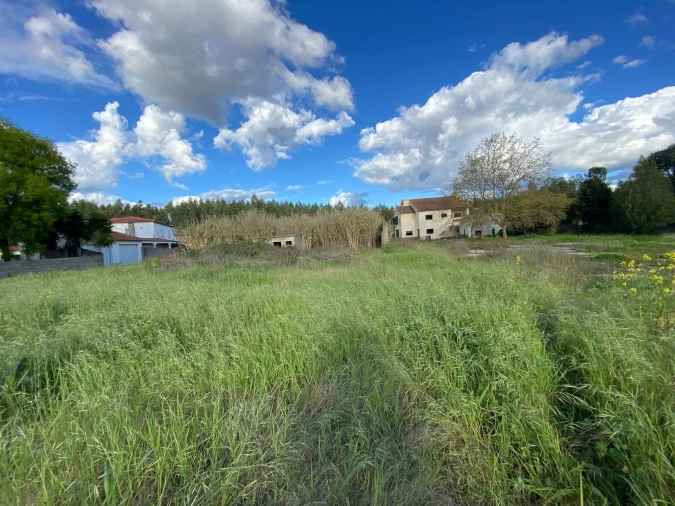 Terreno para Venda em Nossa Sra de Fatima Foto 14