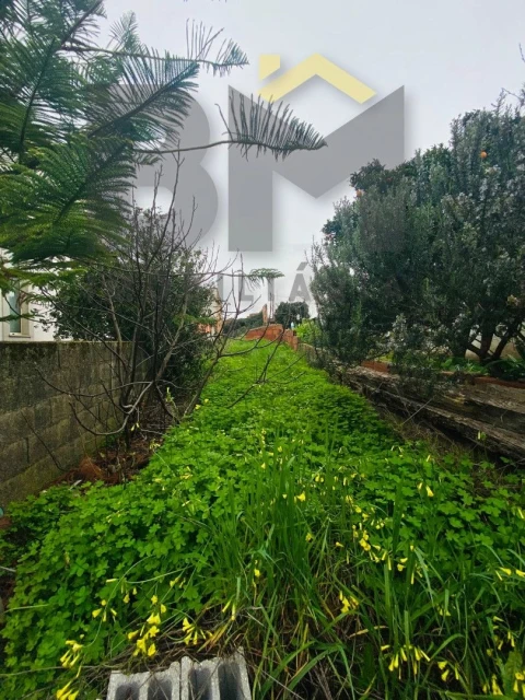 Moradia T1 para Venda em Escalos de Baixo e Mata
