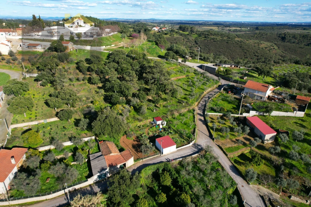 Armazém para Venda em Ninho do Açor e Sobral do Campo Foto 11