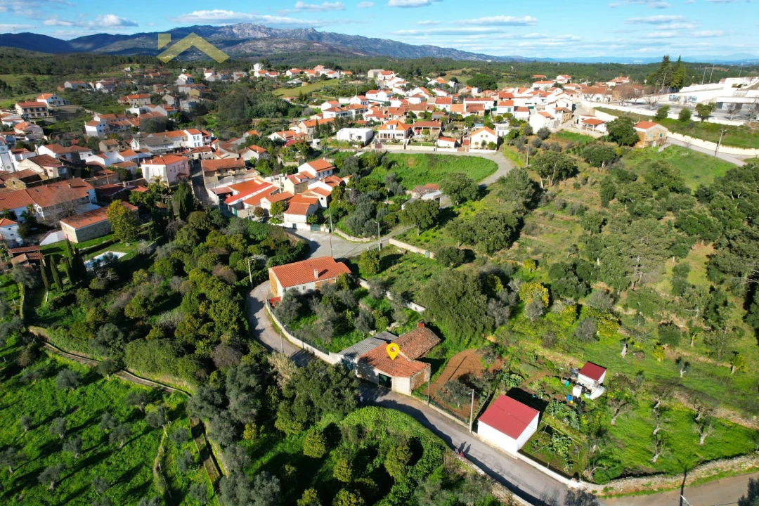 Armazém para Venda em Ninho do Açor e Sobral do Campo Foto 2
