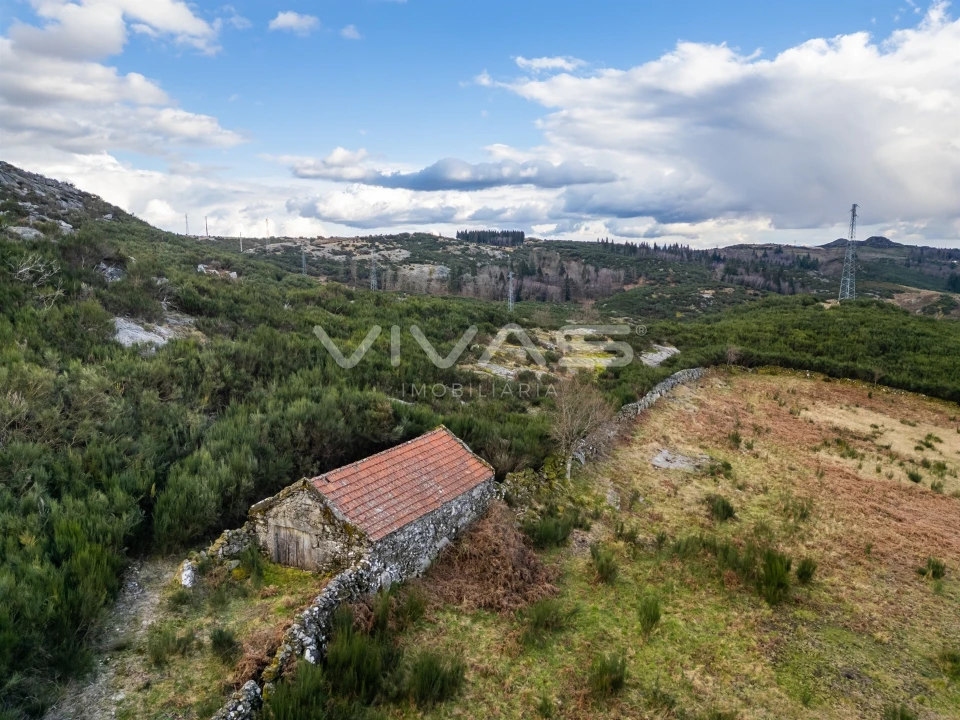 Terreno Agricola ou Rústico para Venda em Rio Douro Foto 4