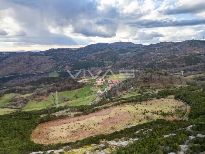 Terreno Agricola ou Rústico para Venda em Rio Douro Foto 11