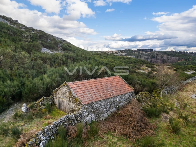 Terreno Agricola ou Rústico para Venda em Rio Douro Foto 2